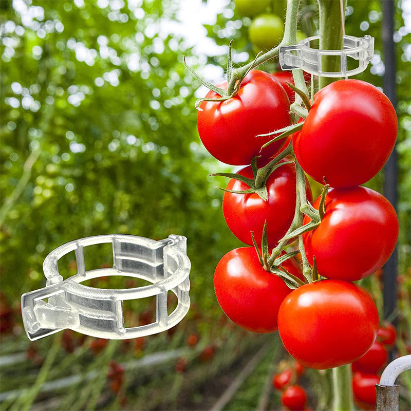 🍅🌱Plaćanje pouzećem + Kupi 100, dobiješ 100 gratis【200 komada】Kopča za učvršćivanje rasta sadnica