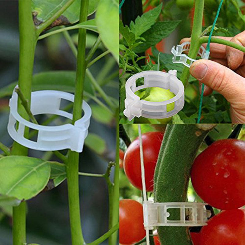 🍅🌱Plaćanje pouzećem + Kupi 100, dobiješ 100 gratis【200 komada】Kopča za učvršćivanje rasta sadnica